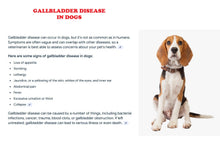 GALLBLADDER STONES FOR PETS - GALLSTONES