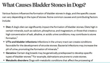 GALLBLADDER STONES FOR PETS - GALLSTONES