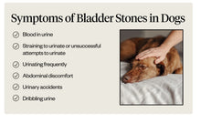 GALLBLADDER STONES FOR PETS - GALLSTONES