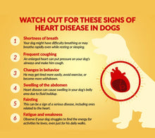 CONGESTIVE DISEASE HEART PROBLEMS FOR CATS & DOGS - Congestive Heart Failure in  BLOOD CIRCULATION MADE IN USA