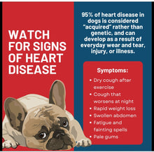 CONGESTIVE DISEASE HEART PROBLEMS FOR CATS & DOGS - Congestive Heart Failure in  BLOOD CIRCULATION MADE IN USA