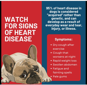 CONGESTIVE DISEASE HEART PROBLEMS FOR CATS & DOGS - Congestive Heart Failure in  BLOOD CIRCULATION MADE IN USA