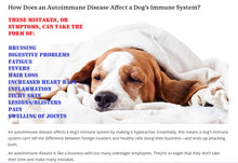 IMMUNE SYSTEM CARE FOR DOGS & CATS 120 Capsules - Made in USA