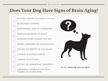 REFUERZO CEREBRAL EN PERROS - Memoria, Concentracion & Alerta mental mascotas - MADE IN USA