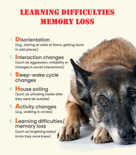 REFUERZO CEREBRAL EN PERROS - Memoria, Concentracion & Alerta mental mascotas - MADE IN USA