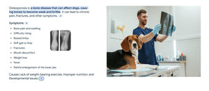 CONTROLAR LA OSTEOPOROSIS DOLOR EN PERROS Y GATOS - PARA EL DOLOR DE OSTEOPOROSIS EN MASCOTAS - MADE IN USA