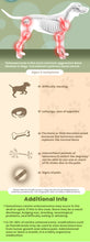 CONTROLAR LA OSTEOPOROSIS DOLOR EN PERROS Y GATOS - PARA EL DOLOR DE OSTEOPOROSIS EN MASCOTAS - MADE IN USA