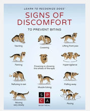 PARAR EL DOLOR DEL NERVIO CIATICO EN PERROS Y GATOS - antiinflamatorios - MADE IN USA