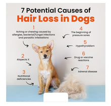 STOP HAIR SHEDDING FOR DOGS AND CATS NATURALLY - PREVENT HAIR SHEDDING ON PETS - MADE IN USA
