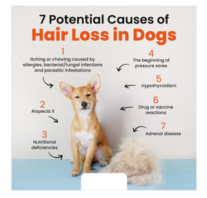 STOP HAIR SHEDDING FOR DOGS AND CATS NATURALLY - PREVENT HAIR SHEDDING ON PETS - MADE IN USA