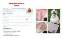 GET RID OF SKIN COAT INFECTION BACTERIAL FOR DOG AND CAT - MADE IN USA