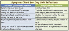 GET RID OF SKIN COAT INFECTION BACTERIAL FOR DOG AND CAT - MADE IN USA