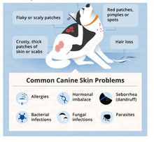 ELIMINA LA IRRITACION EN LA PIEL DE PERRO Y GATO - REPARA LA PIEL EN FORMA NATURAL EN PERROS Y GATOS - MADE IN USA