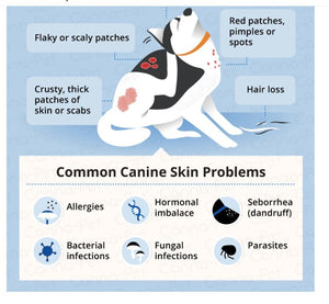 ELIMINA LA IRRITACION EN LA PIEL DE PERRO Y GATO - REPARA LA PIEL EN FORMA NATURAL EN PERROS Y GATOS - MADE IN USA