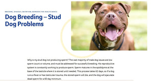 SPERM BOOSTERS FOR STUD DOG