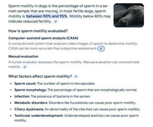 SPERM BOOSTERS FOR STUD DOG