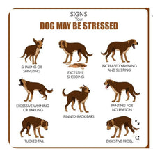 ELIMINA EL ESTRES Y ANSIEDAD EN PERROS Y GATOS - Made in USA