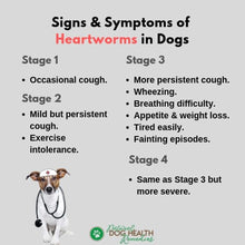 HEARTWORMS KILLER FOR PETS (Dogs & Cats)