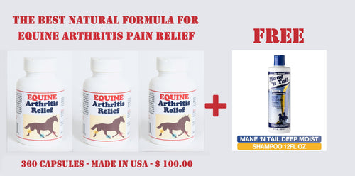 ARTHRISTIS RELIEF PAIN FOR EQUINES (HORSES) - 360 CAPS & THE BEST FREE SHAMPOO