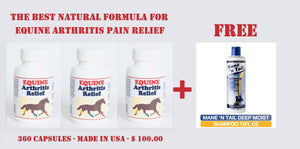 ARTHRISTIS RELIEF PAIN FOR EQUINES (HORSES) - 360 CAPS & THE BEST FREE SHAMPOO