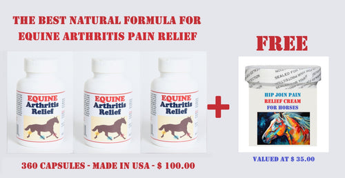 ARTHRISTIS RELIEF PAIN FOR EQUINES (HORSES) 360 CAPS & FREE CREAM FOR HIP JOINT