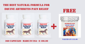 ARTHRITIS RELIEF PAIN FOR EQUINES (HORSES) 360 CAPS & FREE CREAM FOR ARTHRITIS