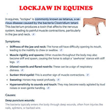 ELIMINAR ELTRISMO Y ESTRANGULAMIENTO EN CABALLOS - MATA CUALQUIERA BACTERIA EN CABALLOS - HECHO EN EE. UU.