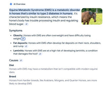 BAJAR LOS NIVELES DIABETES EN CABALLOS - REBAJAR LOS NIVELES DE AZUCAR EN CABALLOS - Made in USA