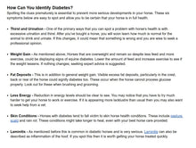 BAJAR LOS NIVELES DIABETES EN CABALLOS - REBAJAR LOS NIVELES DE AZUCAR EN CABALLOS - Made in USA