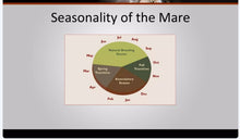 INCREASE MARE HEAT (ESTRUS) - BRING MARES INTO HEAT NOW - Made in USA