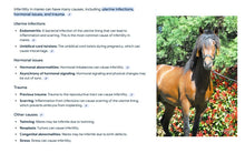 INCREMENTA LA FERTILIDAD EN LAS YEGUAS - AUMENTAR NATURALMENTE LA FERTILIDAD EN YEGUAS - MADE IN USA