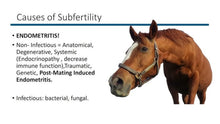 MARE FERTILITY - EQUINE MARE BREEDING FERTILITY HORSES - MADE IN USA