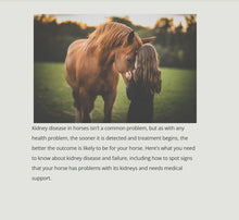 GET RID OF BLADDER & KIDNEY DISEASE FOR HORSES - MADE IN USA
