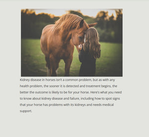 GET RID OF BLADDER & KIDNEY DISEASE FOR HORSES - MADE IN USA