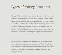 GET RID OF BLADDER & KIDNEY DISEASE FOR HORSES - MADE IN USA
