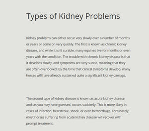 GET RID OF BLADDER & KIDNEY DISEASE FOR HORSES - MADE IN USA