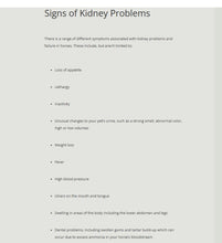 GET RID OF BLADDER & KIDNEY DISEASE FOR HORSES - MADE IN USA