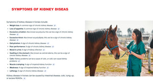 GET RID OF BLADDER & KIDNEY DISEASE FOR HORSES - MADE IN USA
