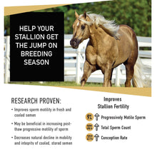 EQUINE SPERM BOOSTER - FERTILITY HORSE - SPERM BOOSTER FOR HORSES - MADE IN USA