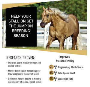 EQUINE SPERM BOOSTER - FERTILITY HORSE - SPERM BOOSTER FOR HORSES - MADE IN USA