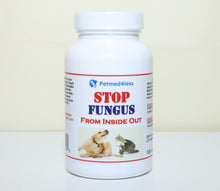 GET RID OF FUNGAL INFECTION IN Dogs and Cats  - ELIMINATE FUNGAL DERMATITIS - Made in USA)