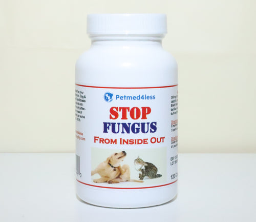 GET RID OF FUNGAL INFECTION IN Dogs and Cats  - ELIMINATE FUNGAL DERMATITIS - Made in USA)