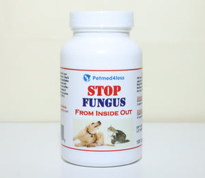 GET RID OF FUNGAL INFECTION IN Dogs and Cats  - ELIMINATE FUNGAL DERMATITIS - Made in USA)