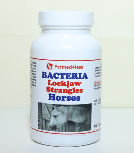 ELIMINAR ELTRISMO Y ESTRANGULAMIENTO EN CABALLOS - MATA CUALQUIERA BACTERIA EN CABALLOS - HECHO EN EE. UU.
