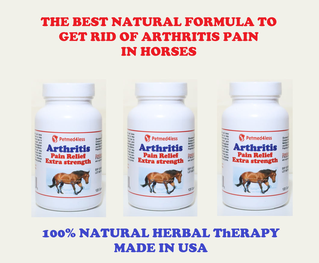 ARTHRITIS STOP PAIN FOR EQUINES (HORSES) - 360 CAPS  MADE IN USA