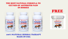ARTHRITIS RELIEF PAIN FOR EQUINES (HORSES) 360 CAPS & FREE CREAM FOR HIP JOINT