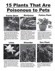 GUIDE TO THE POISONOUS PLANTS TO PETS ( DOGS, CATS & HORSES) MADE IN USA