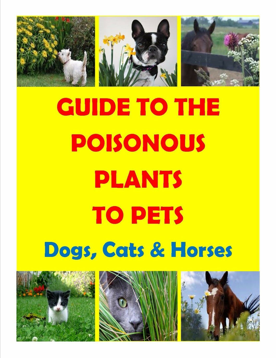 GUIDE TO THE POISONOUS PLANTS TO PETS ( DOGS, CATS & HORSES) MADE IN USA