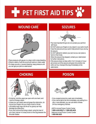 PET FIRST AID TIPS POSTER LAMINATED ( 8 1/2