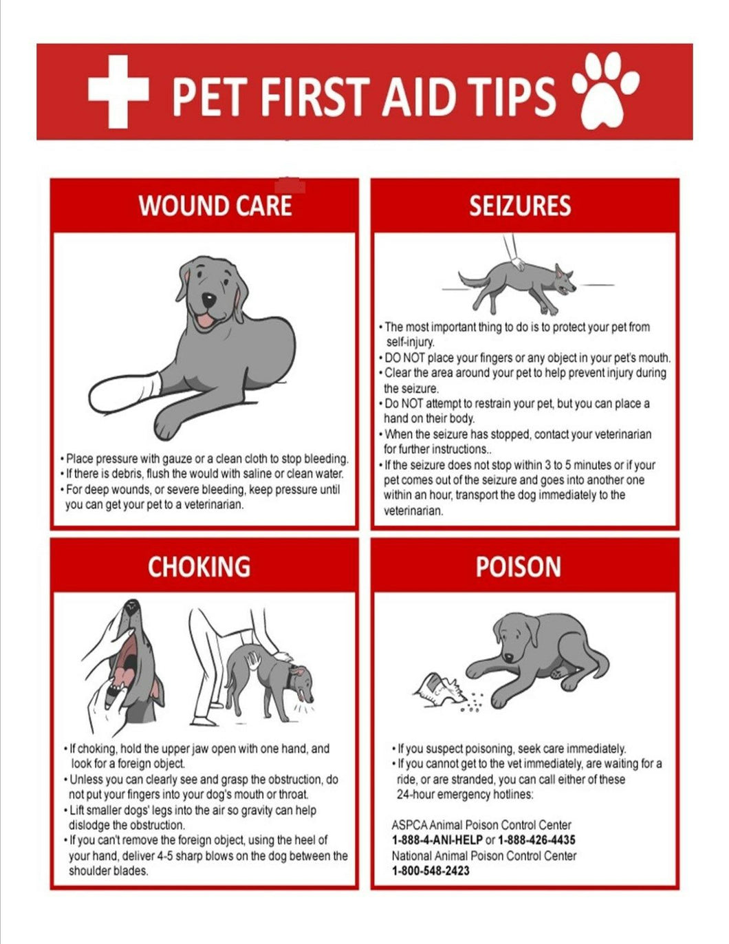 PET FIRST AID TIPS POSTER LAMINATED ( 8 1/2